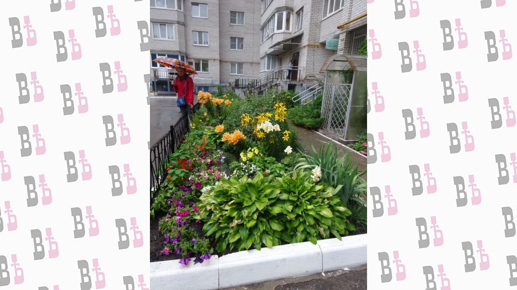 пухова 23а.jpg