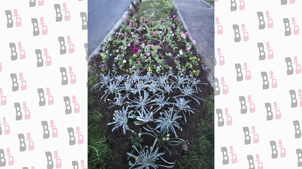 z9SpJeHnEU8.jpg z9SpJeHnEU8.jpg