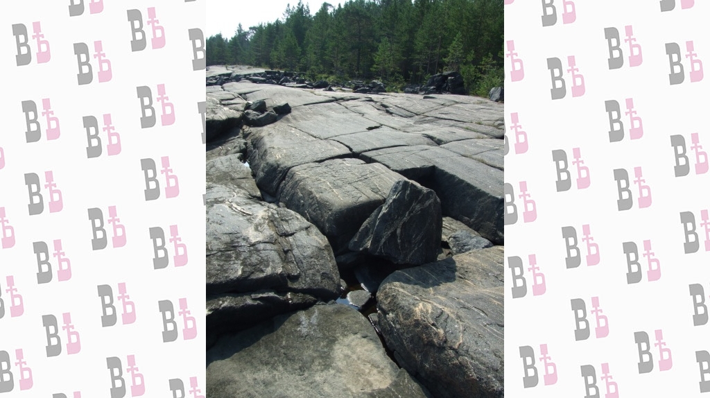 arh 221.jpg arh 221.jpg