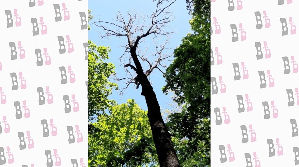 f827e56a-17af-4fb6-b62e-10c65caf010a.jpg f827e56a-17af-4fb6-b62e-10c65caf010a.jpg