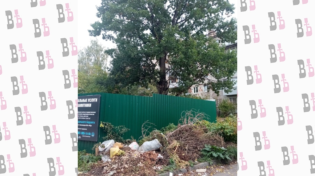 120219013_2728021730794096_7963224772601361029_o.jpg 120219013_2728021730794096_7963224772601361029_o.jpg