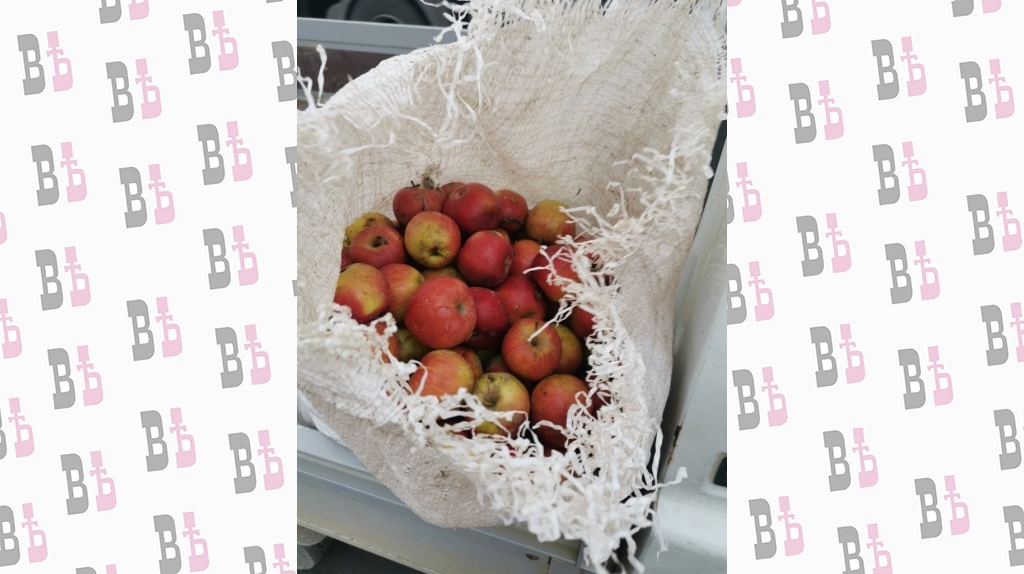 pQI7YamQ0vg.jpg pQI7YamQ0vg.jpg