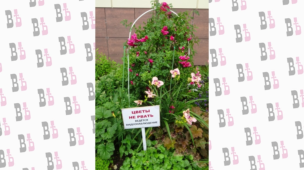 пенсионный фонд 3.jpg