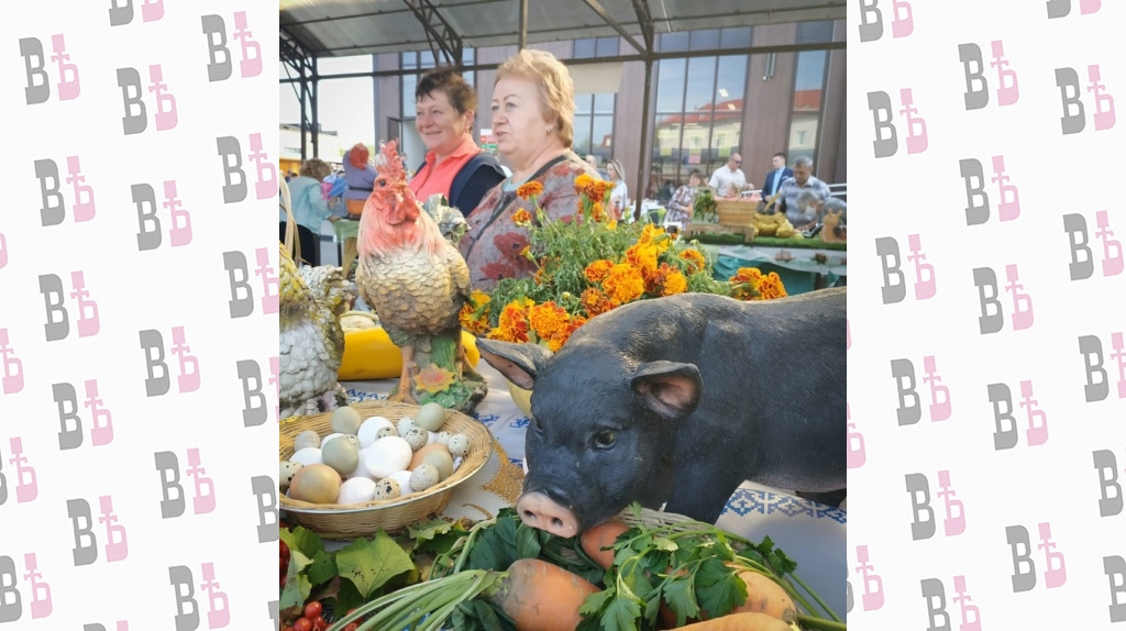 WhatsApp Image 2020-09-03 at 16.50.48.jpeg