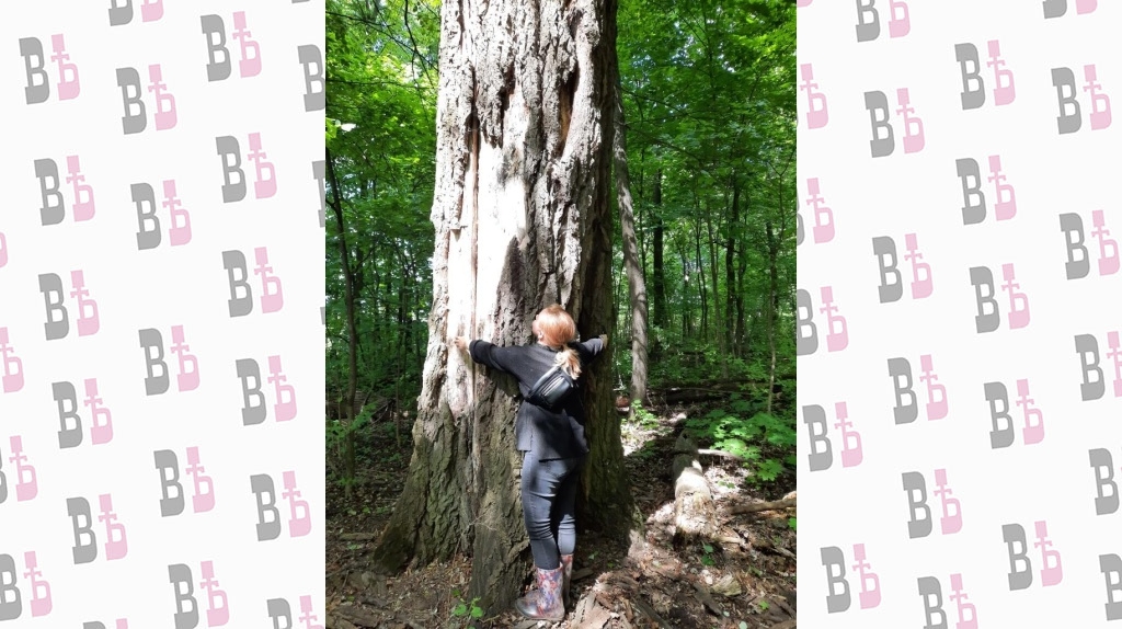 Тополь серебристый с Ильинском.jpg