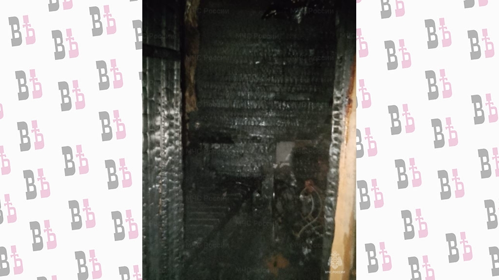 0aa54f866a8619c8c8dc02d228c75c7d__2000x2000__watermark.jpg 0aa54f866a8619c8c8dc02d228c75c7d__2000x2000__watermark.jpg