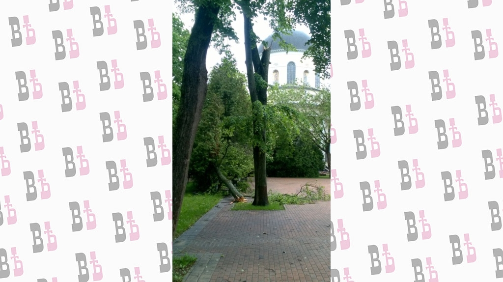 WhatsApp Image 2020-06-03 at 13.40.03.jpeg