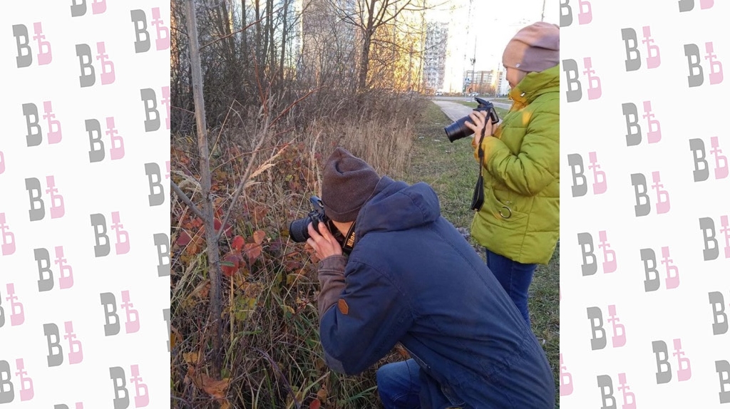 B4cTX6I5Q3I.jpg B4cTX6I5Q3I.jpg