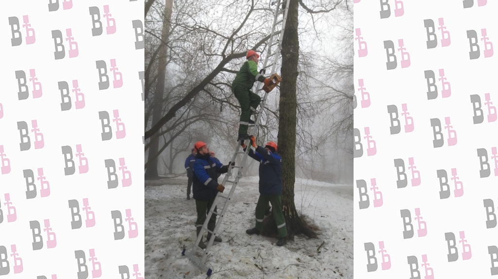 c5ffa63f-ca39-42d1-8139-cb691e169087.jpg c5ffa63f-ca39-42d1-8139-cb691e169087.jpg