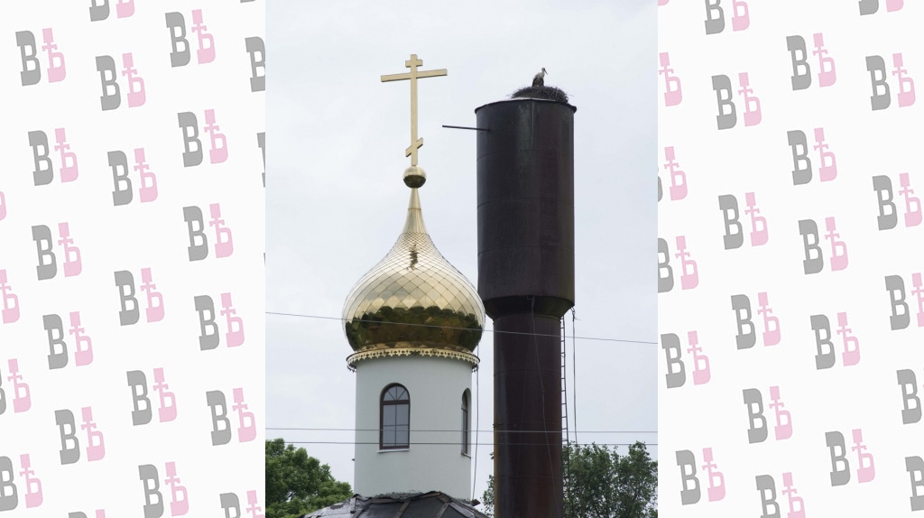 фото Кормильцева_26.jpg фото Кормильцева_26.jpg