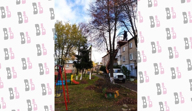 В одном из дворов Жукова по просьбе жителей в соцсетях восстановили уличное освещение