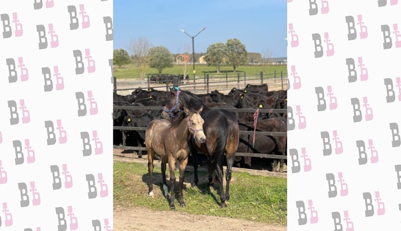 В Калуге фермеры и рестораторы займутся разработкой локальной кухни