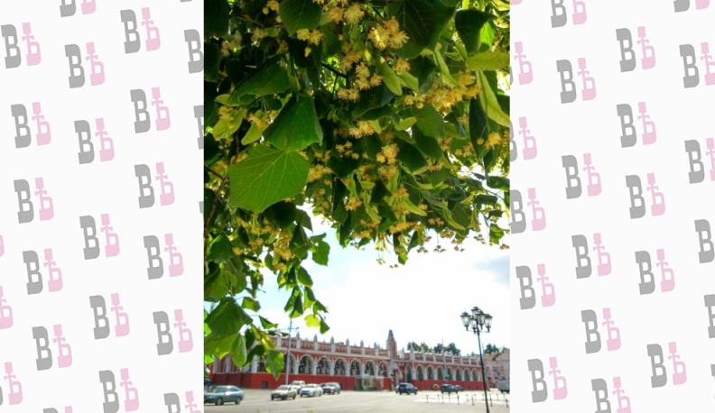 Споёмте, земляки!