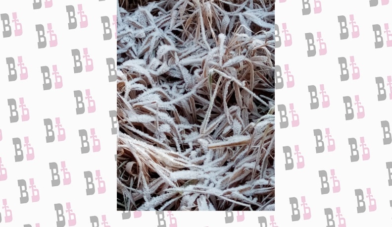 Утро встретит калужан заморозками