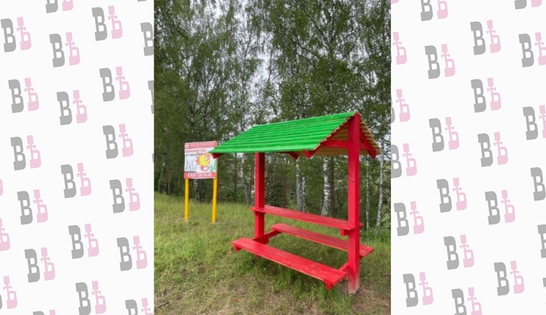 В Калужской области продолжается работы по противопожарному обустройству лесов