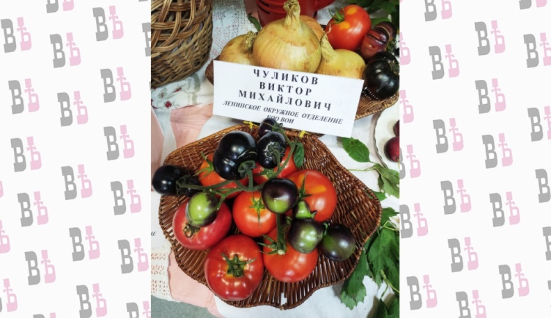 В Калуге прошла выставка урожая «Дары природы»