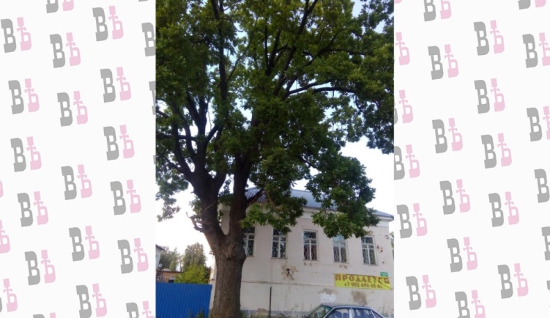 Дом там, где сердце