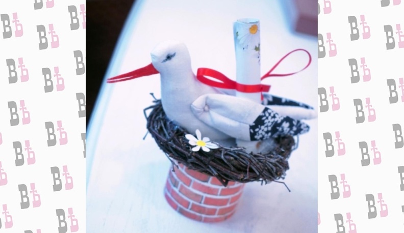 Когда аисты приносят счастье