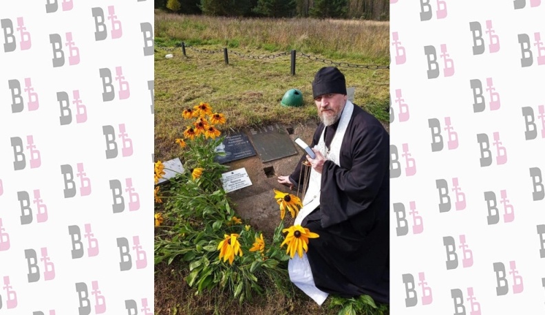 Мы – только веточки на стволе