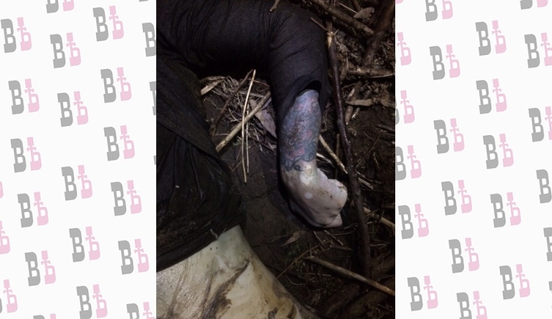 Следственный комитет устанавливает личность найденного в Оке утонувшего мужчины