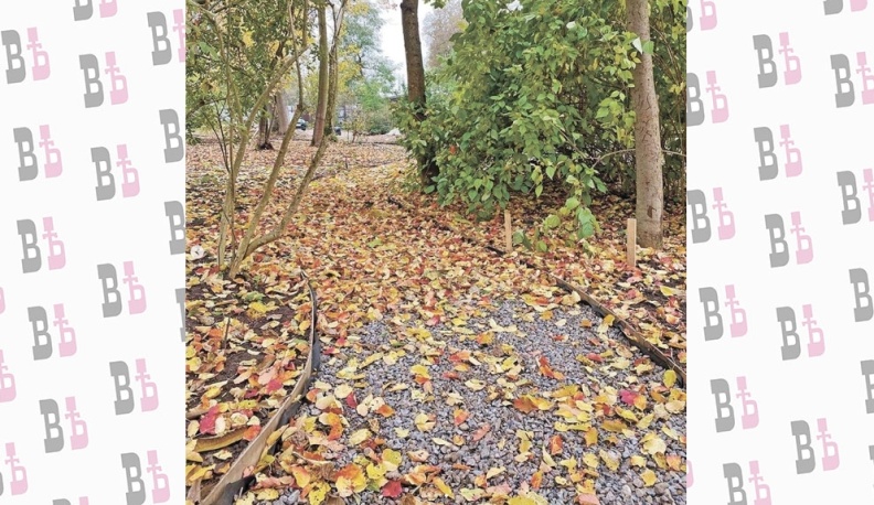 Зелёный театр на улице Шмидта