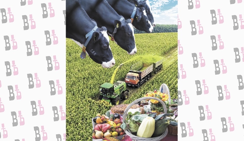 Бархатный сезон