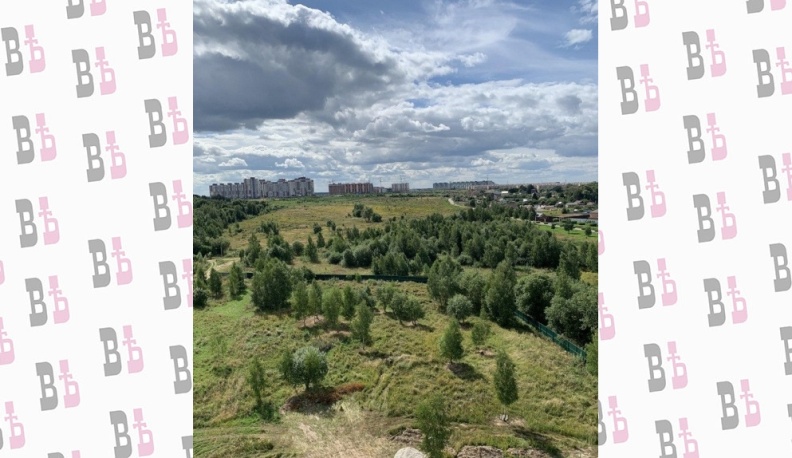 Калужан предупредили о сильном ветре