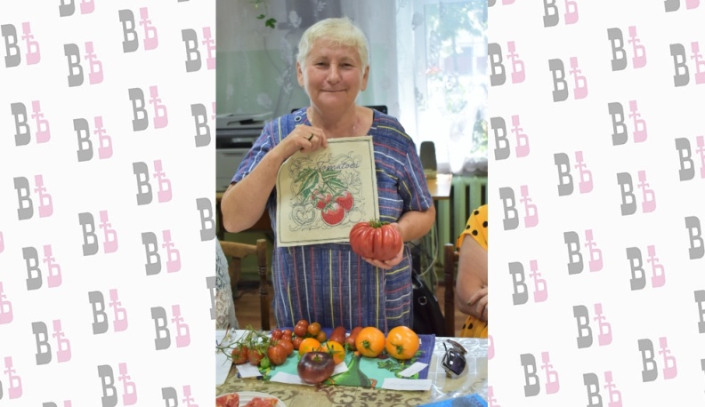 Кировские дачницы презентовали лучшие сорта томатов