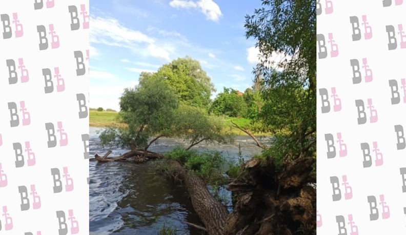 В каких водоёмах Жуковского района купаться не рекомендуется