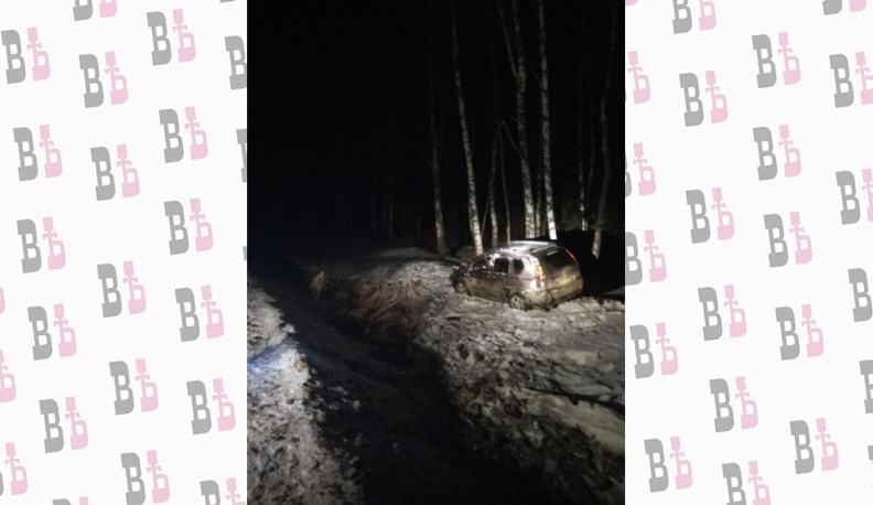 Ниссан улетел в кювет на автодороге в Людиновском районе