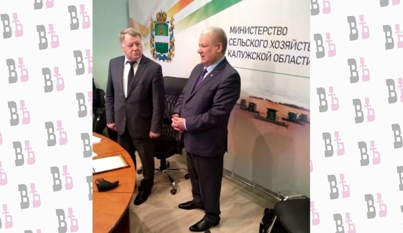 Калужские коровы стали давать больше молока