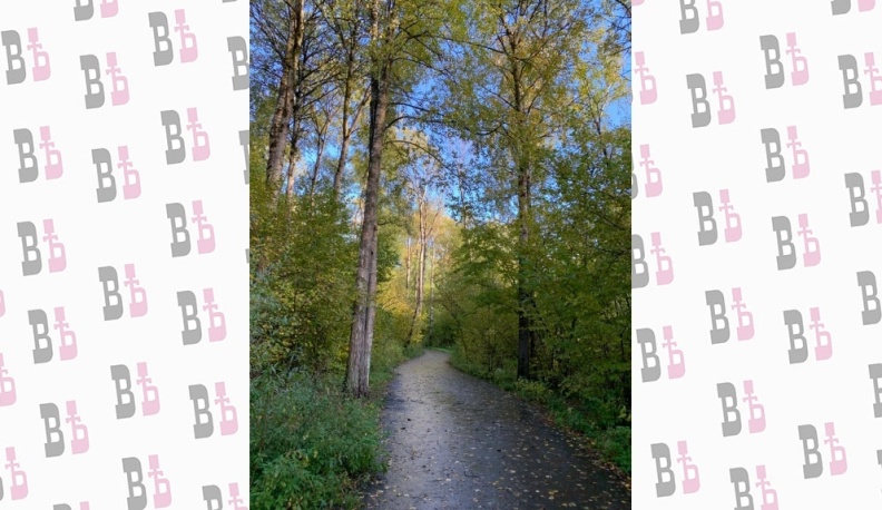 Калужан приглашают на субботник в Губернский парк 22 апреля