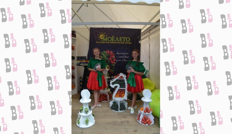 Синьор помидор