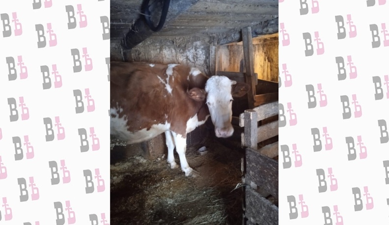 41 житель Тарусского района подписал социальный контракт