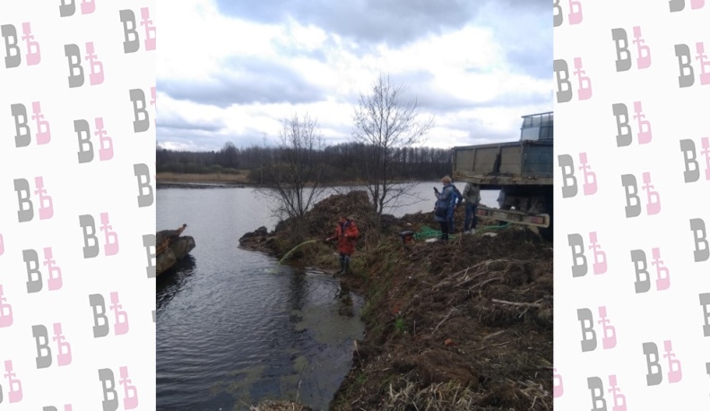 В озеро Ломпадь в Людинове в очередной раз запустили хлореллу
