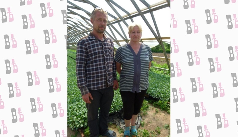 Под пение птиц 