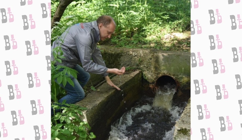 Все оттенки черного