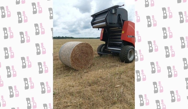 На полях Людиновского района компания «Русский сыр» ведёт уборочную кампанию 