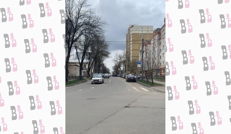 В Калуге на улице Тульской завершилась обрезка разросшихся деревьев