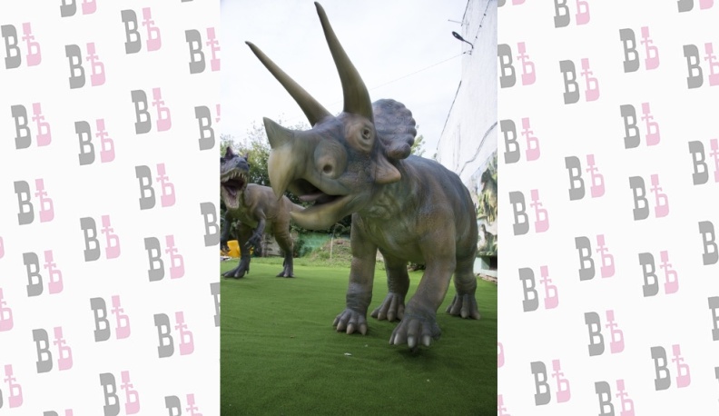 Регион 40. Поехали! Чтить прошлое – жить будущим