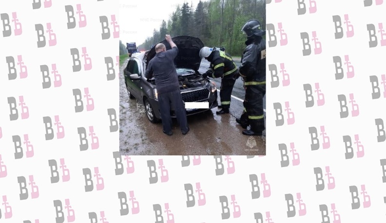 В Юхновском районе лось и автомобиль не поделили дорогу