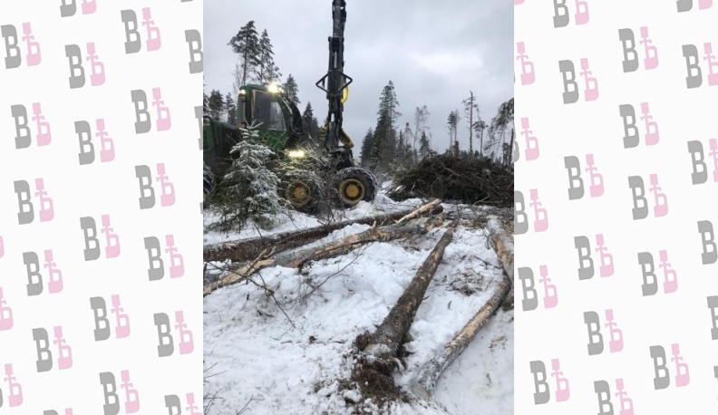 В Спас-Деменском районе продолжают ликвидировать последствия ветровала