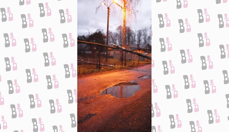 Из-за упавшего дерева в Калуге три дома остались без горячей воды