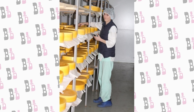 Сыр – всему голова