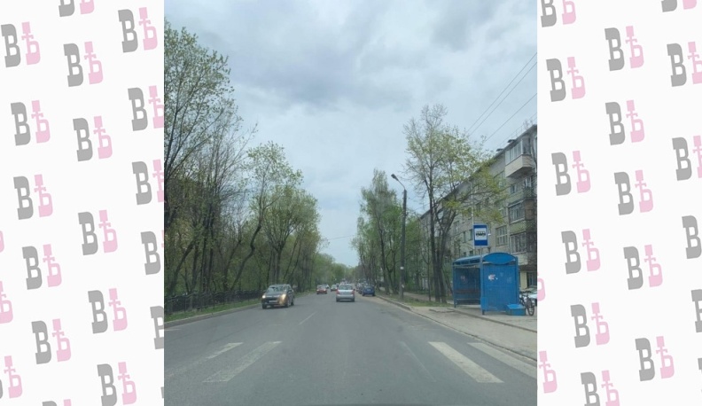 В Калуге на улице Тульской завершилась обрезка разросшихся деревьев