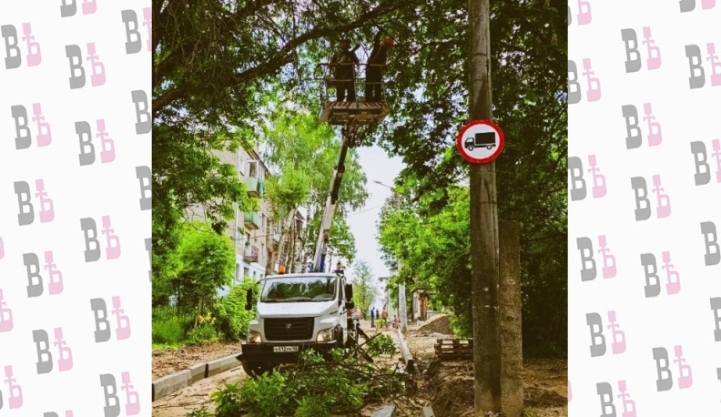 В Калуге еженедельно следят за поврежденными и аварийными деревьями