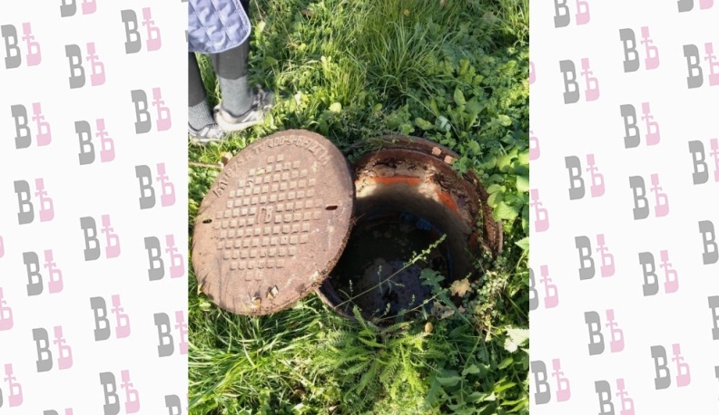 Шаланды, полные фекалий