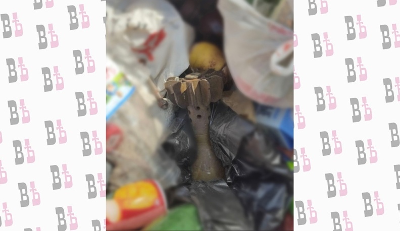 Миномётную мину обнаружили в мусорном баке в центре Калуги