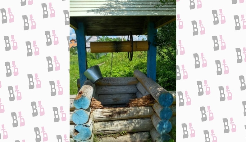 Не умирай, родник