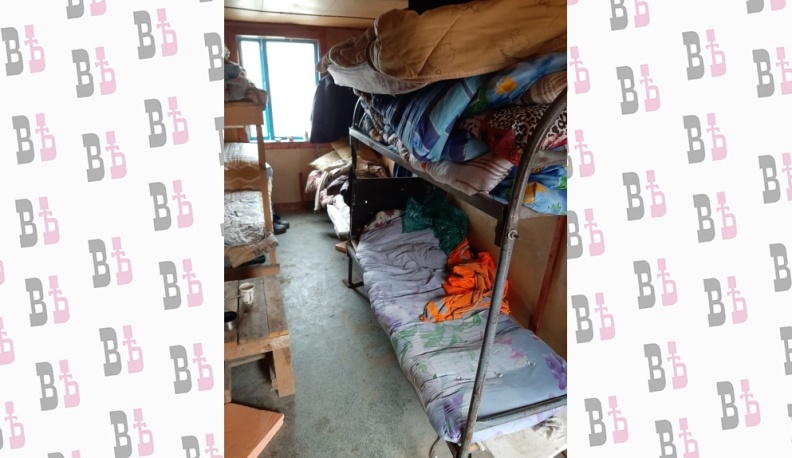 Ещё один шанс для мигрантов